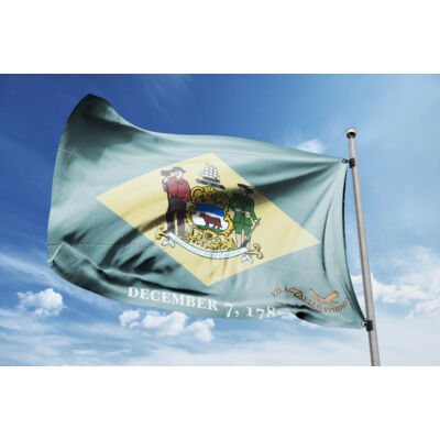 Delaware zászlaja 40x60cm