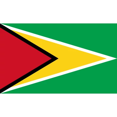 Guyana zászlaja 60x90cm