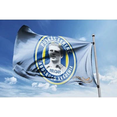 Puskás Akadémia FC 40x60cm